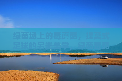 绿茵场上的毒蘑菇,提莫式足球的另类美学,绿茵毒菇,提莫式足球的另类美学