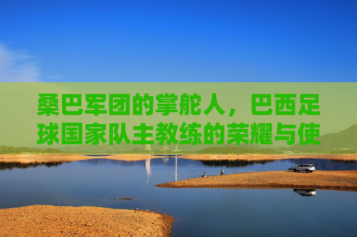 桑巴军团的掌舵人,巴西足球国家队主教练的荣耀与使命,桑巴军团掌舵人,荣耀与使命