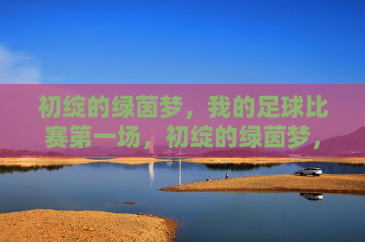 初绽的绿茵梦，我的足球比赛第一场，初绽的绿茵梦，我的足球首战