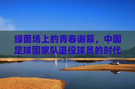 绿茵场上的青春谢幕，中国足球国家队退役球员的时代回响与未来期许，中国足球退役球员，绿茵谢幕的时代回响与未来期许