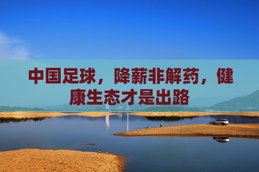 中国足球,降薪非解药,健康生态才是出路