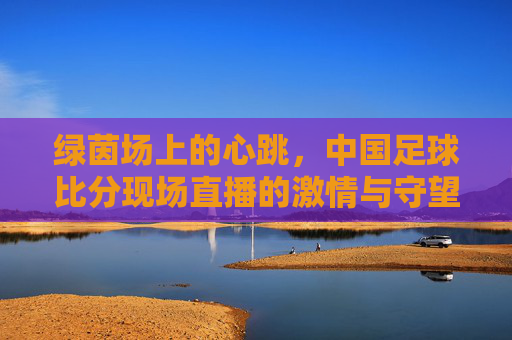 绿茵场上的心跳,中国足球比分现场直播的激情与守望,绿茵心跳,中国足球比分直播的激情守望