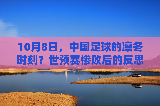 10月8日,中国足球的凛冬时刻?世预赛惨败后的反思与追问,10月8日,中国足球凛冬,世预赛惨败后的反思与追问