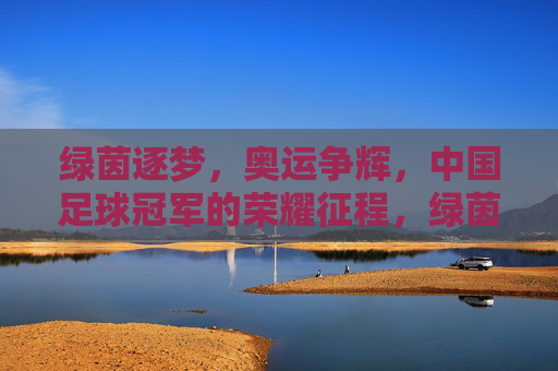 绿茵逐梦,奥运争辉,中国足球冠军的荣耀征程,绿茵逐梦奥运辉,中国足球冠军荣耀征