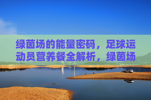 绿茵场的能量密码,足球运动员营养餐全解析,绿茵场能量密码,足球运动员营养餐全解析