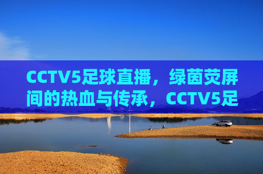CCTV5足球直播,绿茵荧屏间的热血与传承,CCTV5足球直播,绿茵荧屏间的热血传承