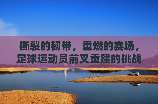 撕裂的韧带,重燃的赛场,足球运动员前叉重建的挑战与重生,足球运动员前叉重建,撕裂韧带的挑战与赛场重生