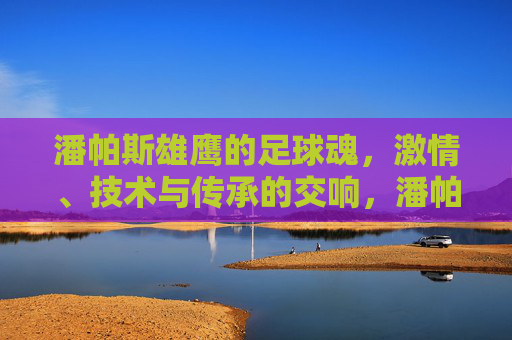 潘帕斯雄鹰的足球魂，激情、技术与传承的交响，潘帕斯雄鹰的足球魂，激情、技术与传承的交响