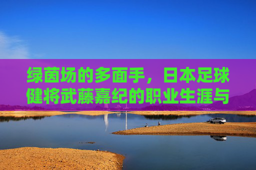 绿茵场的多面手,日本足球健将武藤嘉纪的职业生涯与坚守,武藤嘉纪,绿茵场多面手的职业生涯与坚守