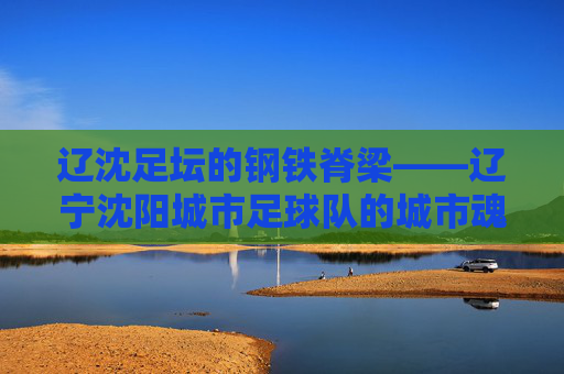 辽沈足坛的钢铁脊梁——辽宁沈阳城市足球队的城市魂，辽沈足坛钢铁脊梁，辽宁沈阳城市足球队的城市魂