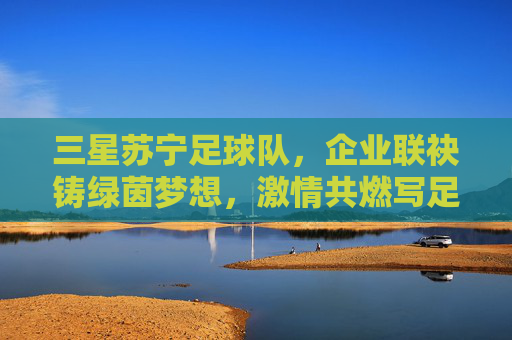 三星苏宁足球队,企业联袂铸绿茵梦想,激情共燃写足球华章,联袂铸梦绿茵,激情共燃华章