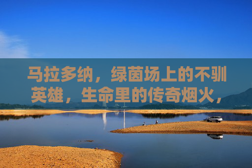 马拉多纳,绿茵场上的不驯英雄,生命里的传奇烟火,马拉多纳,不驯英雄,传奇烟火