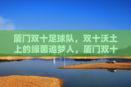 厦门双十足球队，双十沃土上的绿茵追梦人，厦门双十，绿茵沃土上的追梦人