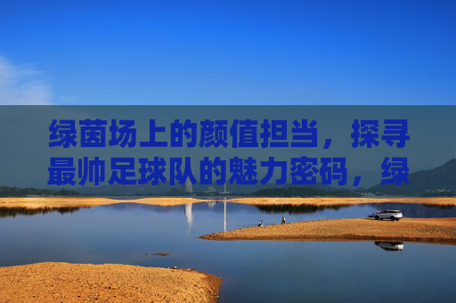 绿茵场上的颜值担当,探寻最帅足球队的魅力密码,绿茵颜值担当,最帅球队的魅力密码