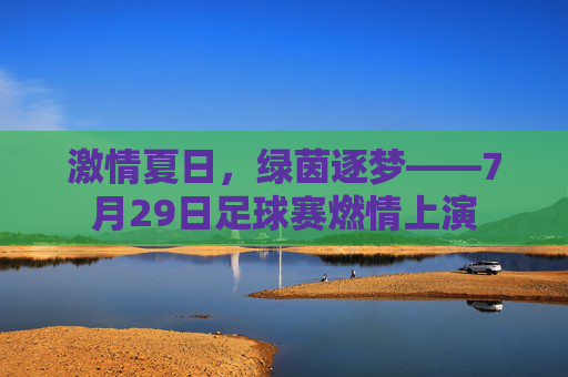 激情夏日,绿茵逐梦——7月29日足球赛燃情上演