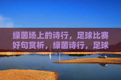 绿茵场上的诗行，足球比赛好句赏析，绿茵诗行，足球比赛好句赏析