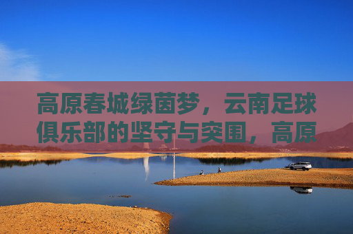 高原春城绿茵梦，云南足球俱乐部的坚守与突围，高原春城绿茵梦，云南足球俱乐部的坚守与突围