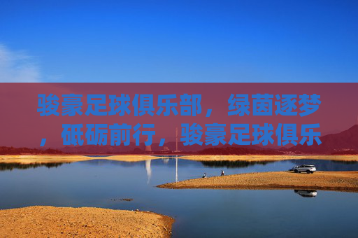 骏豪足球俱乐部，绿茵逐梦，砥砺前行，骏豪足球俱乐部，绿茵逐梦，砥砺前行