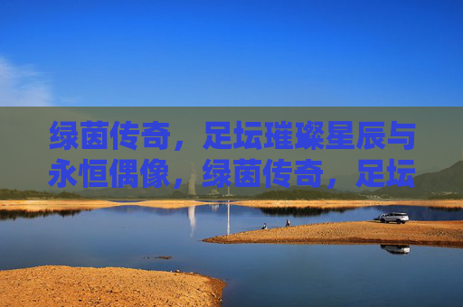 绿茵传奇,足坛璀璨星辰与永恒偶像,绿茵传奇,足坛璀璨星辰与永恒偶像