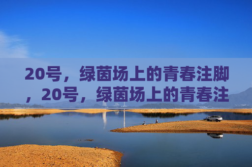 20号,绿茵场上的青春注脚,20号,绿茵场上的青春注脚