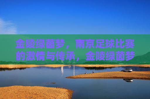 金陵绿茵梦，南京足球比赛的激情与传承，金陵绿茵梦，南京足球激情传承