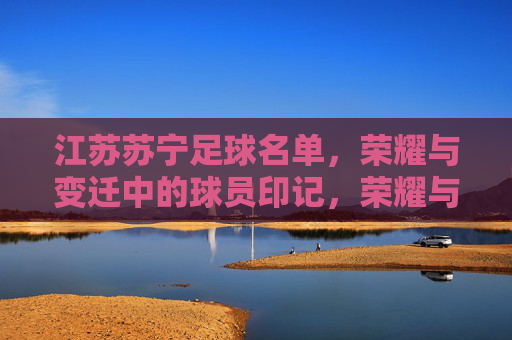 江苏苏宁足球名单,荣耀与变迁中的球员印记,荣耀与变迁,江苏苏宁足球名单的球员印记