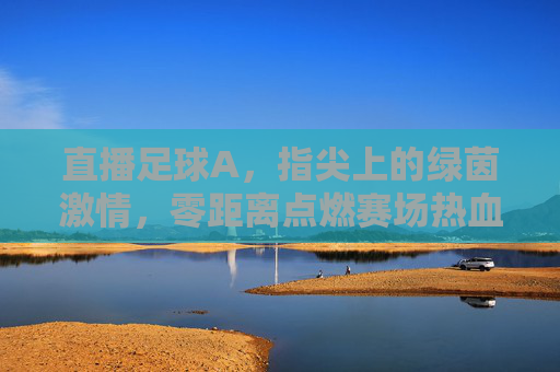 直播足球A,指尖上的绿茵激情,零距离点燃赛场热血,指尖上的绿茵直播,点燃赛场热血