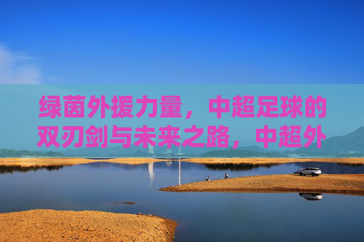 绿茵外援力量,中超足球的双刃剑与未来之路,中超外援的双刃剑与未来之路