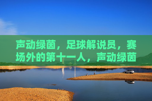 声动绿茵，足球解说员，赛场外的第十一人，声动绿茵，赛场外的第十一人
