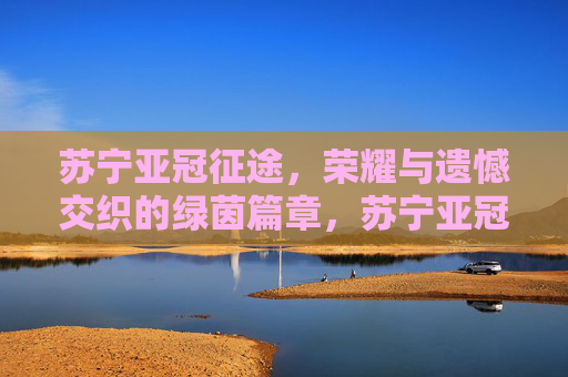 苏宁亚冠征途，荣耀与遗憾交织的绿茵篇章，苏宁亚冠征途，荣耀遗憾交织的绿茵篇章
