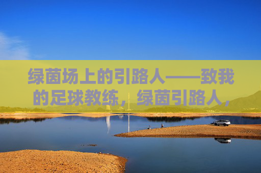 绿茵场上的引路人——致我的足球教练，绿茵引路人，致我的足球教练