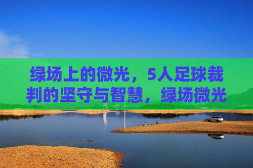 绿场上的微光,5人足球裁判的坚守与智慧,绿场微光,5人足球裁判的坚守与智慧