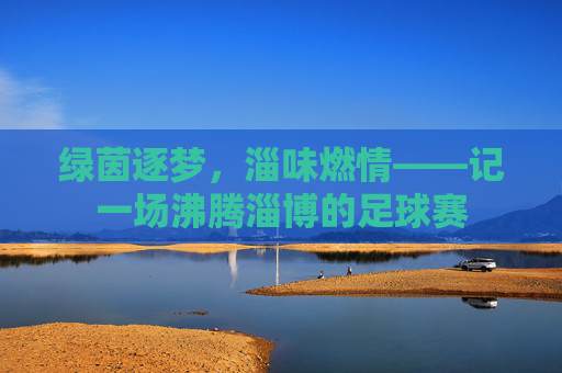 绿茵逐梦,淄味燃情——记一场沸腾淄博的足球赛