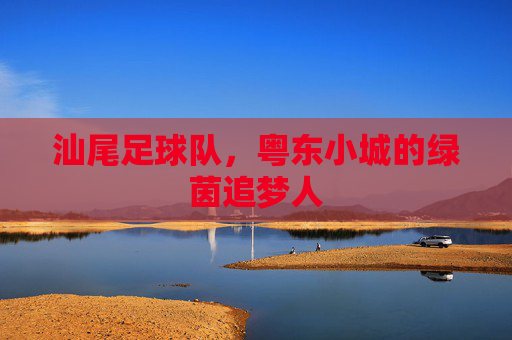 汕尾足球队,粤东小城的绿茵追梦人