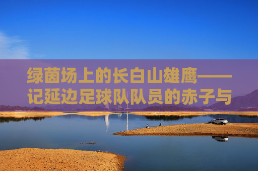 绿茵场上的长白山雄鹰——记延边足球队队员的赤子与热血,长白山雄鹰,绿茵场上的赤子热血