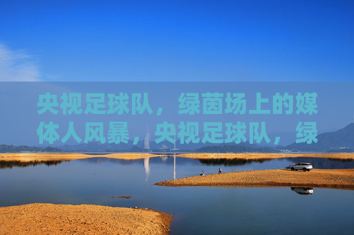 央视足球队,绿茵场上的媒体人风暴,央视足球队,绿茵场上的媒体人风暴
