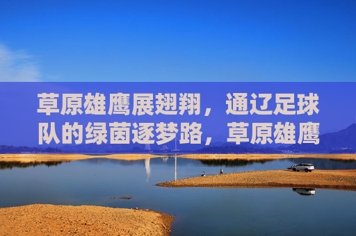 草原雄鹰展翅翔，通辽足球队的绿茵逐梦路，草原雄鹰逐梦绿茵