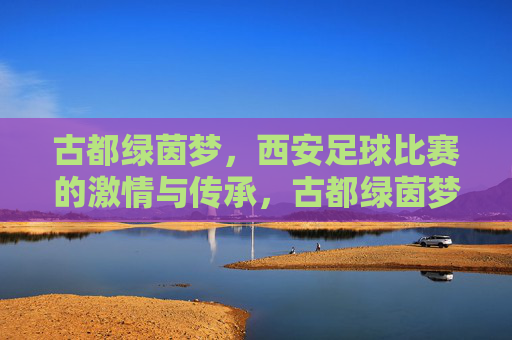 古都绿茵梦,西安足球比赛的激情与传承,古都绿茵梦,西安足球的激情与传承