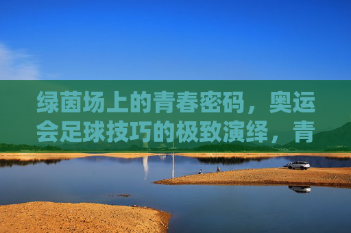 绿茵场上的青春密码,奥运会足球技巧的极致演绎,青春绿茵密钥,奥运会足球技巧的巅峰演绎