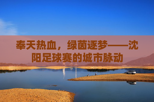 奉天热血,绿茵逐梦——沈阳足球赛的城市脉动