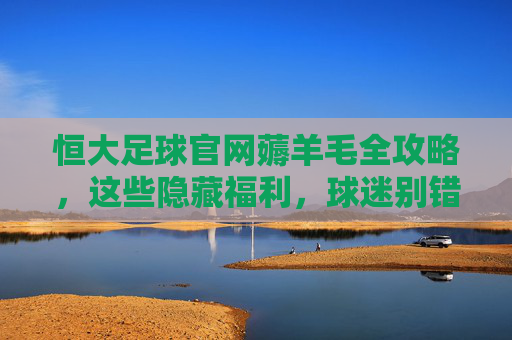 恒大足球官网薅羊毛全攻略,这些隐藏福利,球迷别错过!恒大足球官网薅羊毛全攻略,隐藏福利球迷别错过!