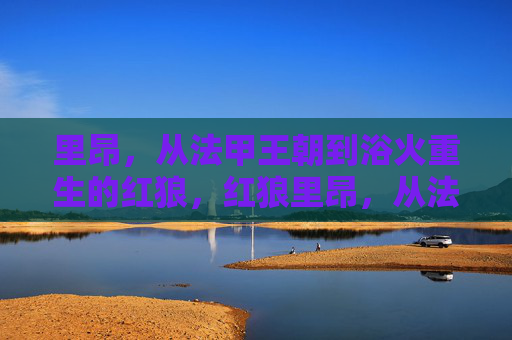 里昂,从法甲王朝到浴火重生的红狼,红狼里昂,从法甲王朝到浴火重生