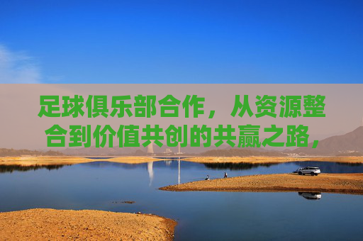 足球俱乐部合作,从资源整合到价值共创的共赢之路,从资源整合到价值共创,足球俱乐部共赢之路