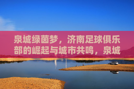 泉城绿茵梦，济南足球俱乐部的崛起与城市共鸣，泉城绿茵梦，济南足球崛起与城市共鸣