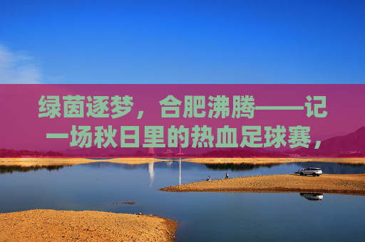 绿茵逐梦,合肥沸腾——记一场秋日里的热血足球赛,绿茵逐梦,合肥沸腾——秋日热血足球赛