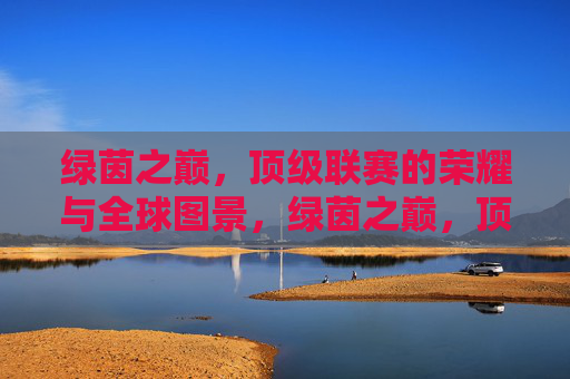 绿茵之巅,顶级联赛的荣耀与全球图景,绿茵之巅,顶级联赛的荣耀全球图景