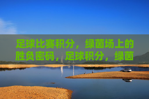 足球比赛积分,绿茵场上的胜负密码,足球积分,绿茵场上的胜负密码