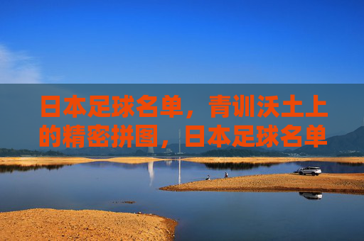 日本足球名单，青训沃土上的精密拼图，日本足球名单，青训沃土上的精密拼图