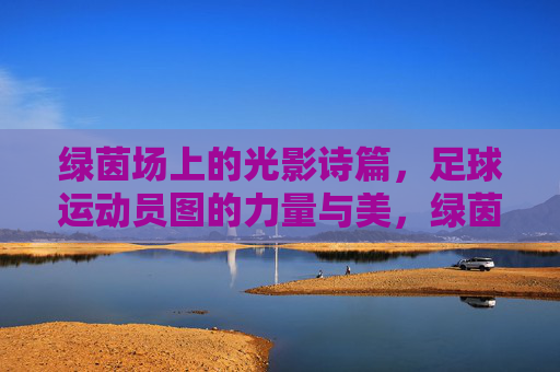 绿茵场上的光影诗篇,足球运动员图的力量与美,绿茵光影诗篇,足球运动员的力量与美