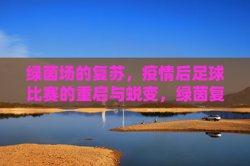 绿茵场的复苏,疫情后足球比赛的重启与蜕变,绿茵复苏,疫情后足球的重启与蜕变
